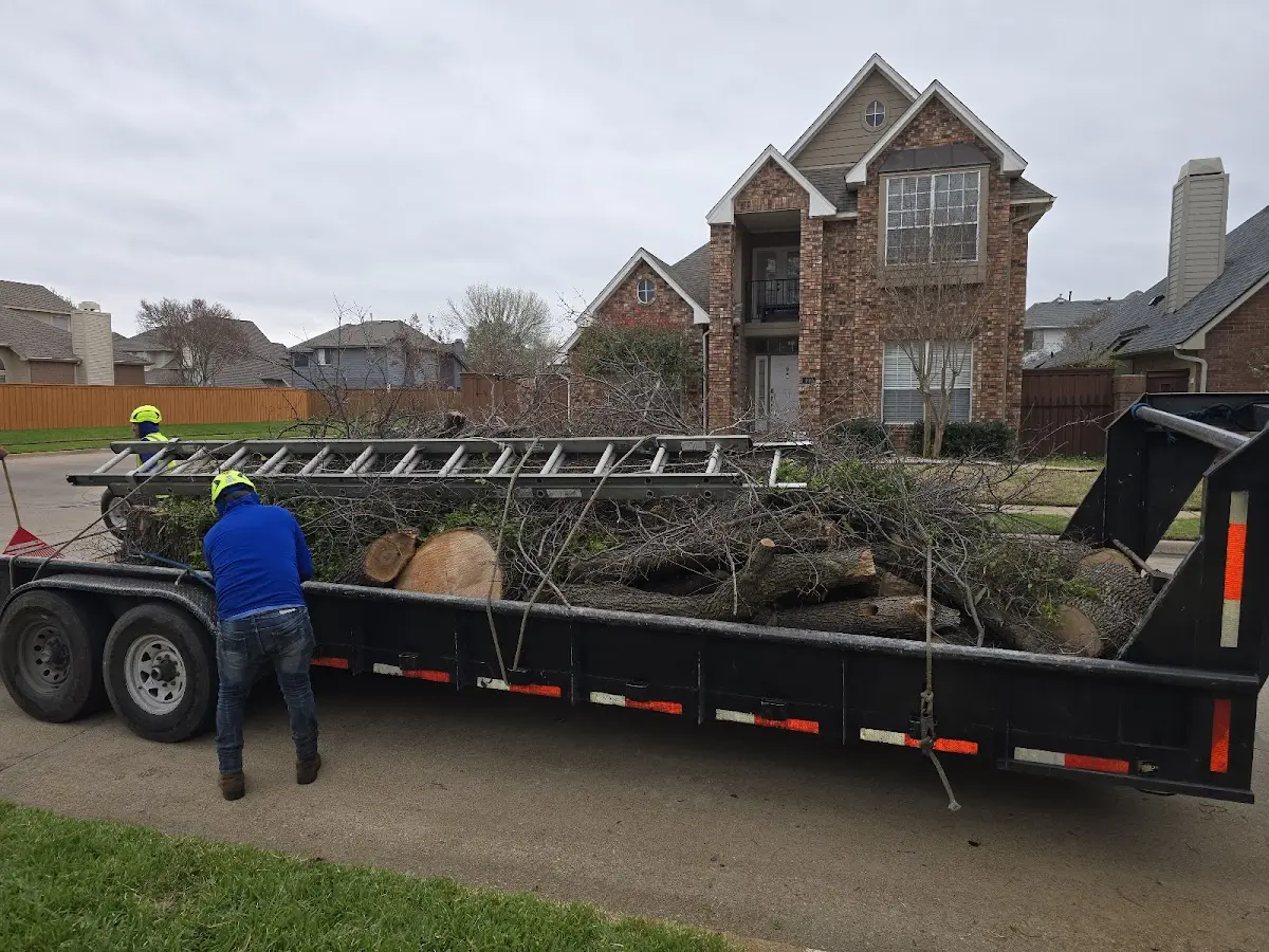 Expert Crown Reduction with proper safety equipment in Pine City